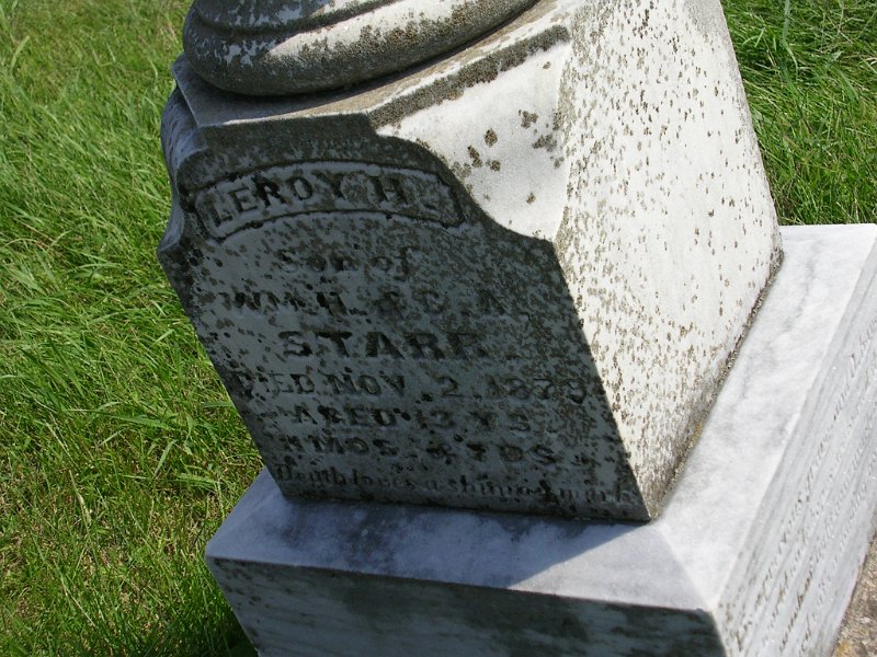 Leroy H. Starr Grave Photo