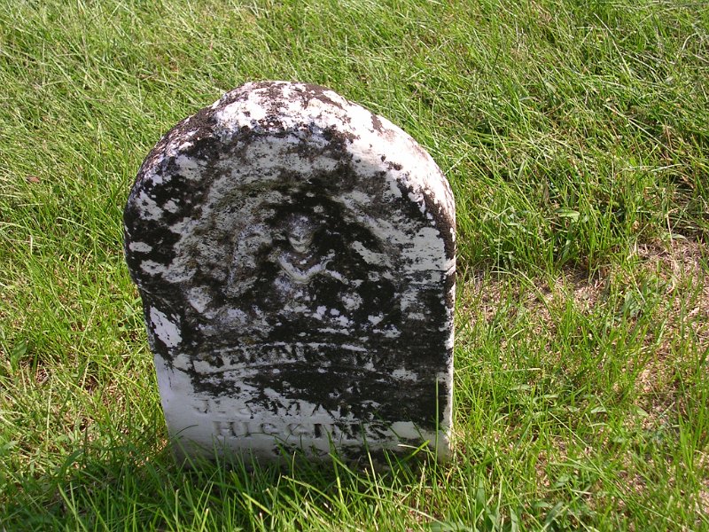 Dennis W. Higgins Grave Photo